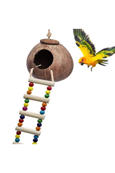 Generic SKEIDO Coconut Bird Nest with Ladder Bird Toy Hanging Coconut Shell B...