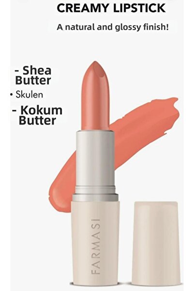 SB Ticaret Lipstick Lipstick 10 Iconic Nude 4 Gr
