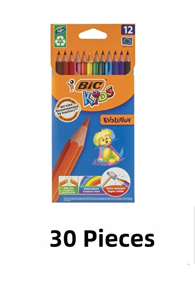 Bic 30 Pieces of Evolution Dry Paint, 12-Pack