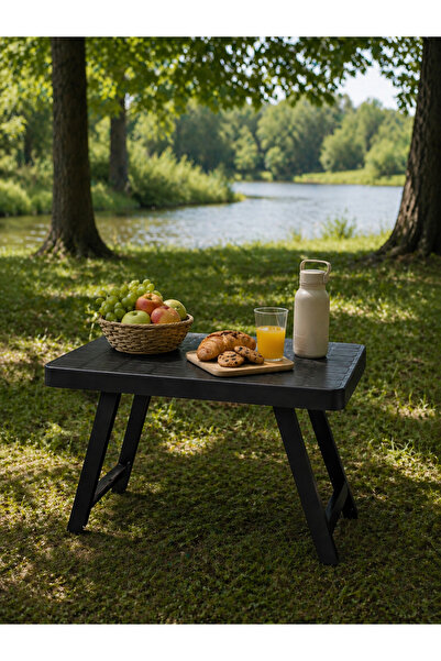 Sağlık life 40x50 Katlanabilir Piknik & Kamp Masası Sehpası