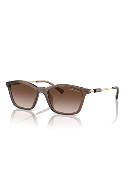 Armani Exchange Güneş Gözlüğü AX4146SU 53 834913