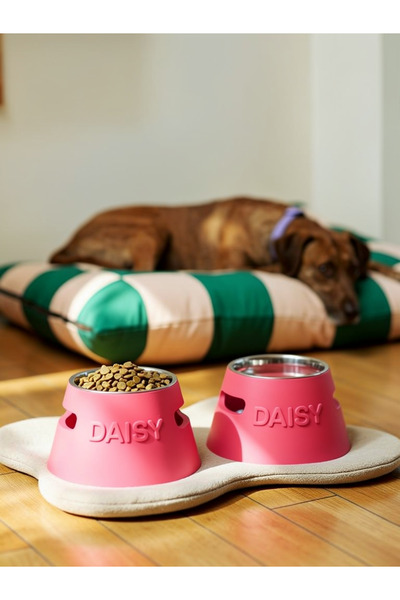 nomi pet Kişiselleştirilebilir Renkli Kedi Köpek Mama Su Kabı 12 Cm