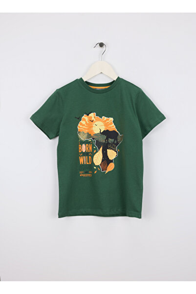 Discovery Expedition Yeşil Erkek Çocuk Baskılı T-Shirt D6SB-TST3001