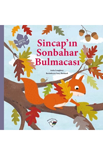 Genel Markalar Sincapın Sonbahar Bulmacası Doğada Bir Yıl
