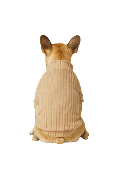GedyCo Bej Basic Küçük Irk Köpek Sweatshirtü