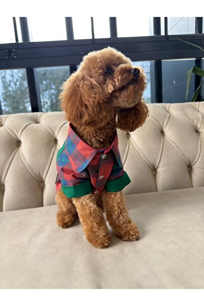 VERAPAWS Küçük Irk -Kırmızı Ekose Yazlık Gömlek Köpek Kıyafeti – Çıtçıtlı