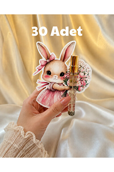Dijital Nostal Tavşan Temalı Popüler Özel Gün Hediyelik Parti Favorisi Baby S...
