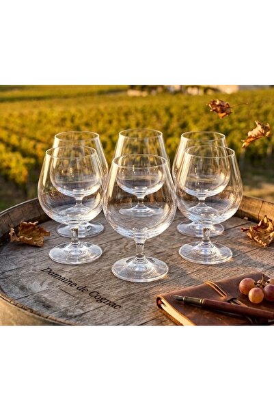 Elista Kristal Kısa Ayaklı Bardak Kahve Yanı Su Bardağı 250 ml 6 Adet