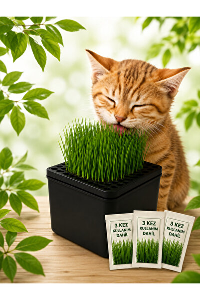 URAL3D Kedi Çimi Otu Tekrar Kullanılabilir Topraksız Yetiştirme Kutusu