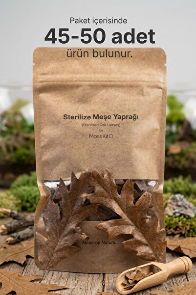 MossKitO Yüksek Tanenli Sterilize Edilmiş Meşe Yaprağı (Yerli Catappa Alterna...