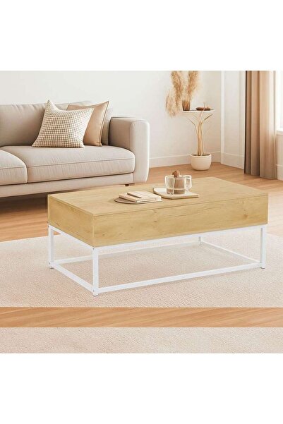 PAN HOME Lionel Coffee Table With Storage Melamine - Natural & White