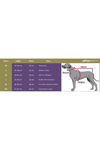 Petza Köpek Küçük ve Orta Irk Yağmurluk Otso Şeffaf Mavi