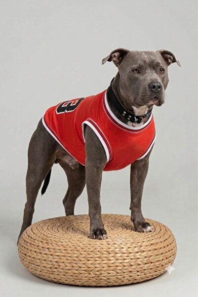 salya store Chicago Summer Dog Jersey, Dog Clothing for Small, Medium and Lar...