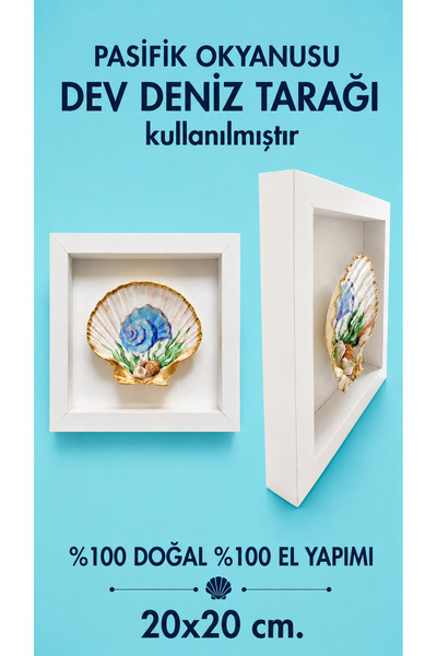 miceda art studio Okyanus Serisi El Yapımı Deniz Kabuğu Ev Ofis Duvar Dekoras...
