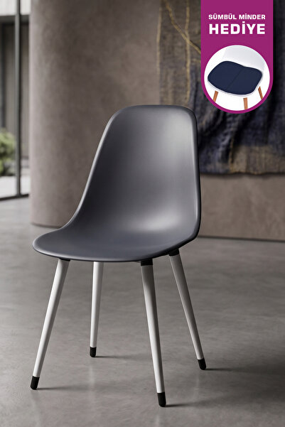 VİLİNZE Eames Beyaz Ahşap Ayak Plastik Füme Sandalye