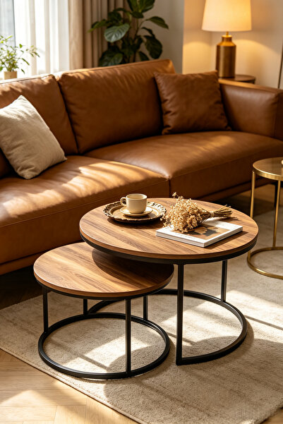 Shangxing Nesting Coffee Table Set – Round wooden tabletop with a black metal...