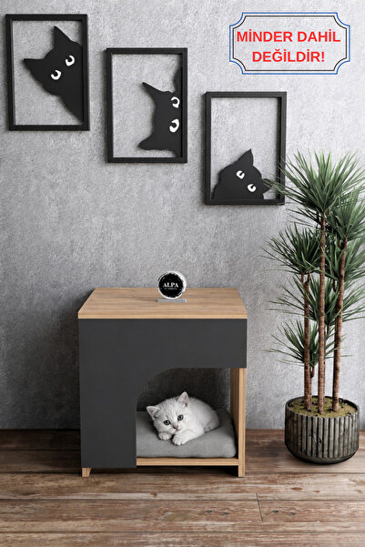 alpaevmobilya Ahşap Kedi Evi Kapalı Kedi Yatağı Yuvası Dekoratif Modern Komod...