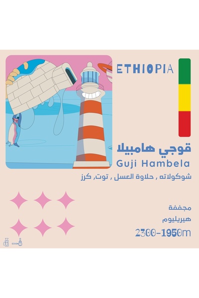 OLALA Roastery غوجي هامبيلا - إثيوبيا 250 جرام