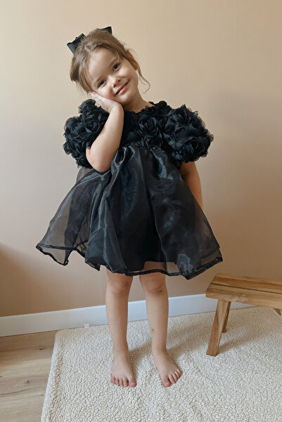 Le Mabelle Black Rose Detailed Tulle Skirted Girl's Dress - Nelia
