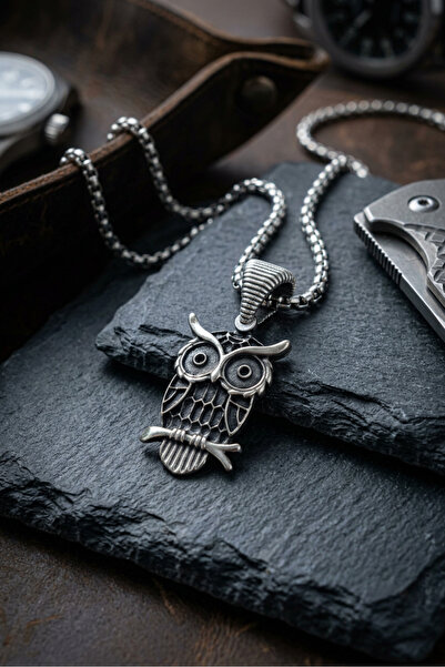 Begondio Owl Figured Handcrafted Stainless Steel Chain Men's Necklace