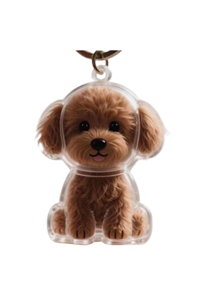 Choice8 15 Pet Dog Fur Memorial Keepsake Keychain Pendant Dog Fur Container P...