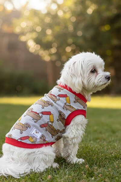 MİNİŞ PET BUTİK Miniature Hotdog Small Breed Dog Flexible Combed Cotton T-Shirt