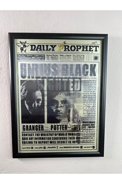 ArtHoby Çerçeveli 3D Lenticular Hareketli Poster Harry Potter NewsPaper 2 Dai...