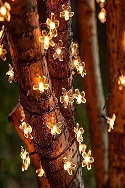 AKBU 50 Ledli Solar Led Işık –gün Işığı , Güneş Enerjili, Dekoratif Bahçe/bal...