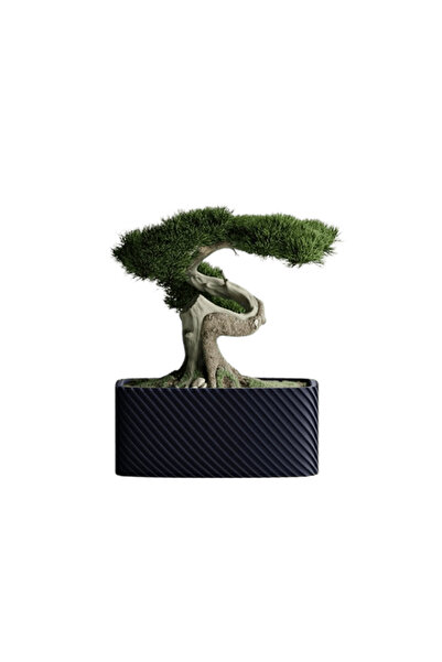 Sani Ghiveci decorativ Sani, Bonzai, mic 164 x 64 x 50 mm, Negru mat