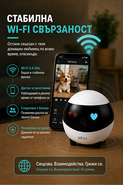 OEM ROBOT CAMERA (BG-V04)