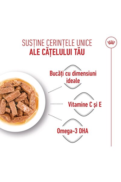 Royal Canin Hrană umedă pentru căței Maxi în pliculețe cu sos 10 x 140 g