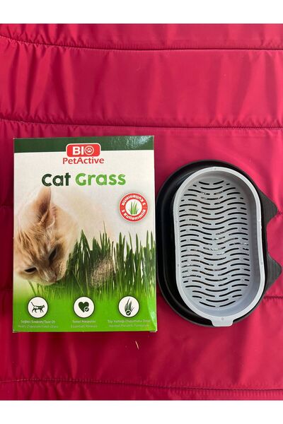 Bio PetActive Kedi Çimi Tabaklı 3 Kullanımlık