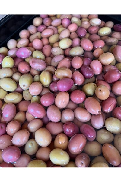 organik evim Doğal Fermente Pembe Çizik Zeytin