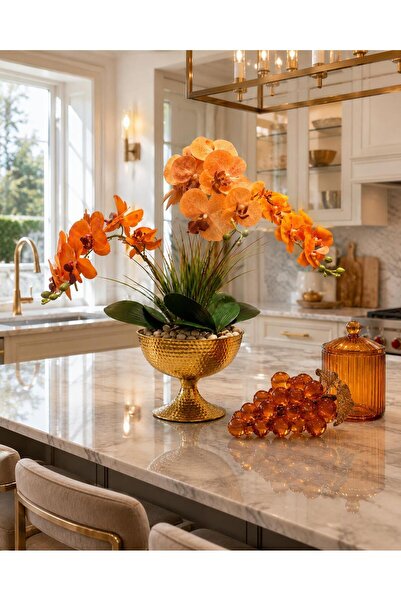 Jass Concept Jass Orange Orchid