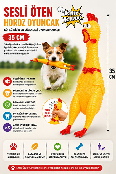 House Bird Sesli Öten Horoz Köpek Oyuncağı 35 Cm Büyük Boy