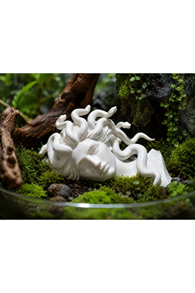 ecraft3D Medusa Teraryum Dekoru