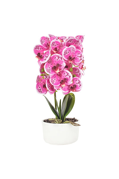 Naimeed Company -looking orchid in a ceramic pot, 50 cm, Naimeed D4848, Pink