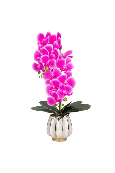 Naimeed Company -looking orchid in a ceramic pot, 79 cm, Naimeed D6902, Fuchsia