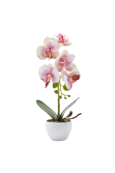 Naimeed Company Orhidee decorativă în ghiveci ceramic, 33 cm, Naimeed D4851, Roz