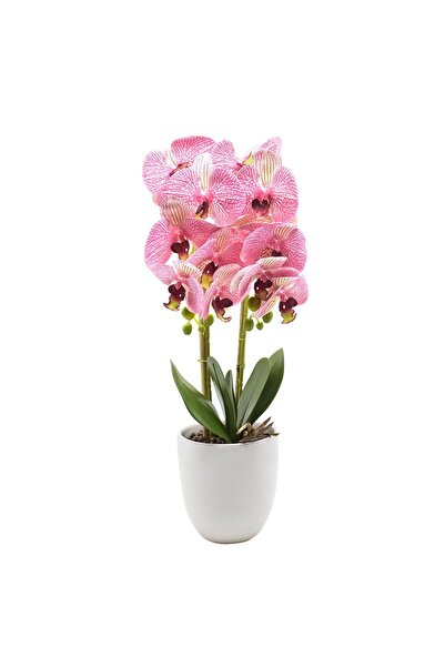 Naimeed Company Orhidee decorativă în ghiveci ceramic, 53 cm, Naimeed D4846, Roz