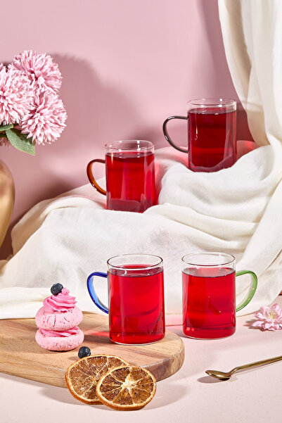 ALİNA HOME Cylindrus 4-Piece Colored Tea & Coffee Cup with Handles