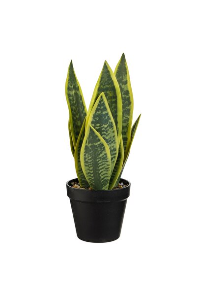 Zumzeria Ghiveci decorativ negru cu plantă artificială Sabiuta Ø12.5x37cm