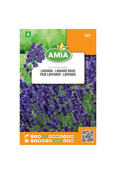 Amia Seminte de lavanda Amia, 0,1 g