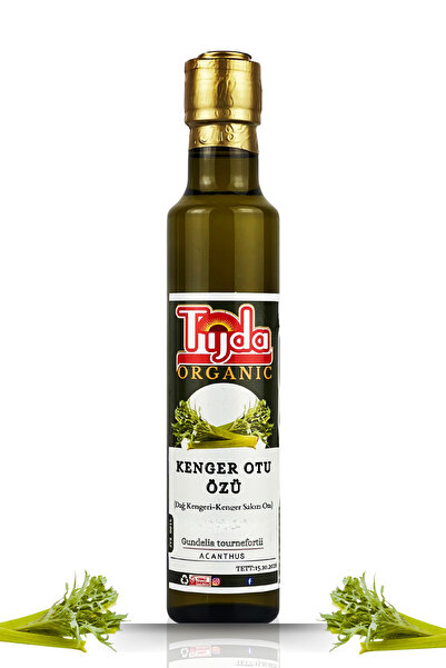 TİJDA Kenger Otu Özü 250 ml Gundelia tournefortii