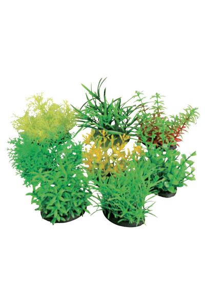 Amtra Tropical Plants Φυτό Ενυδρείου 7cm