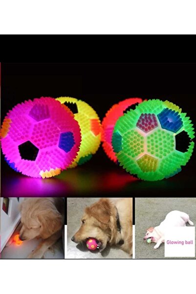 Dalian Home Evcil Hayvan Düdüklü Işıklı Oyun Topu Renkli Işıklı Top Köpek Oyu...