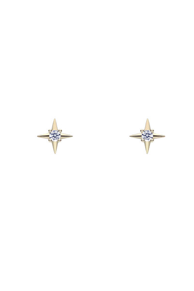 Lisa&Co. Cercei Argint Gamma Leonis Argint placat cu aur galben / Zircon / Alb