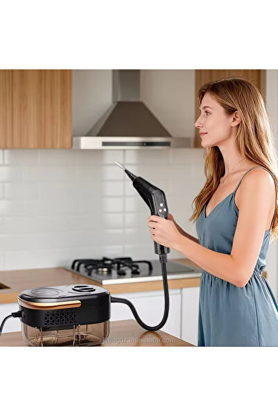 China Popular Steam Cleaner Handheld Steam Cleaner Portable Garment Steamer f...