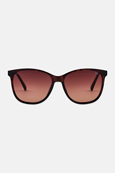 INVU Men B2217 Square Sunglasses, Dark Brown
