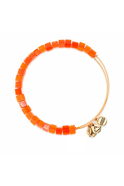 Alex and Ani Bratara Metal BBEB119G